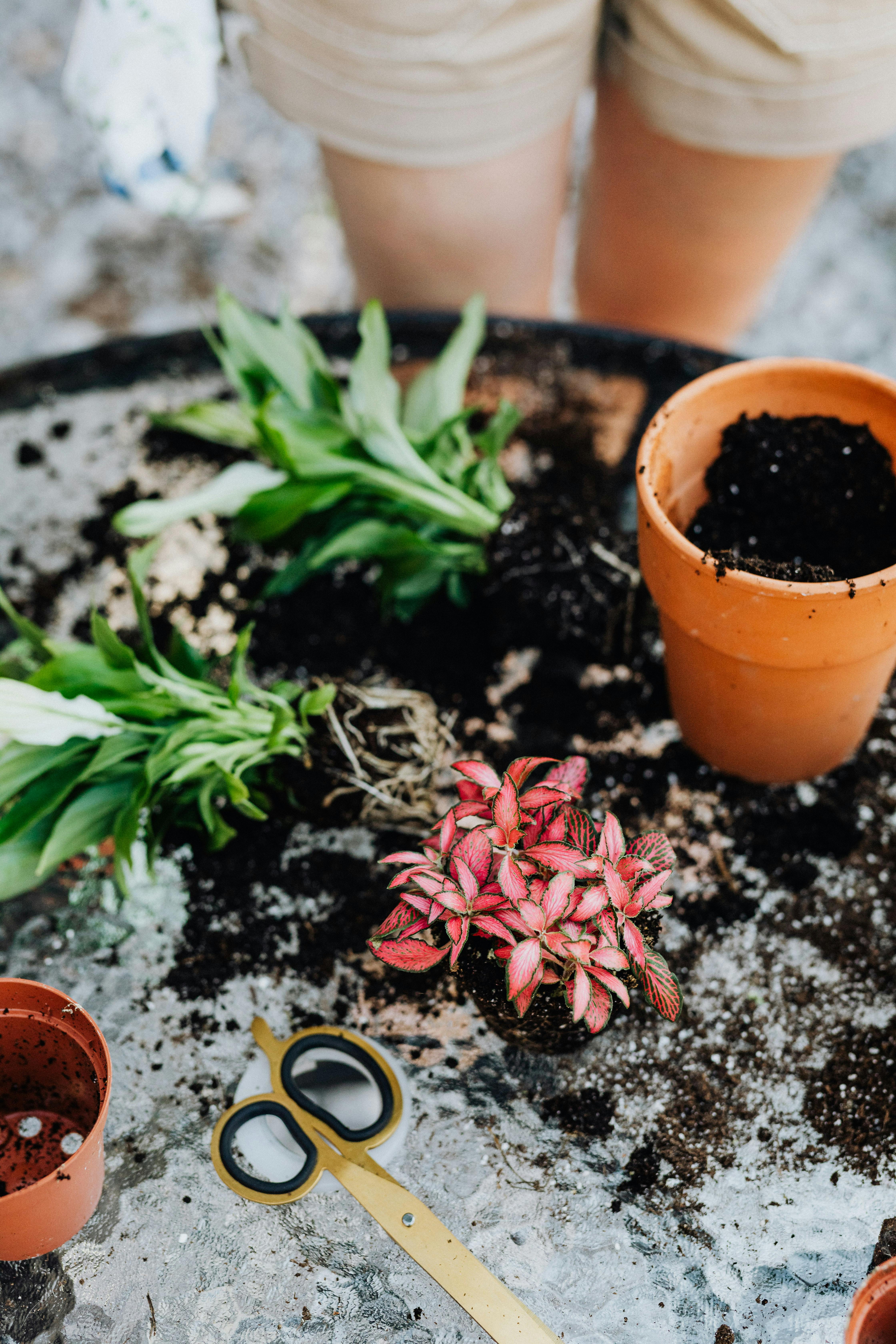 How to Naturally Stop Coughing: 7 Proven Options to Consider in 2025