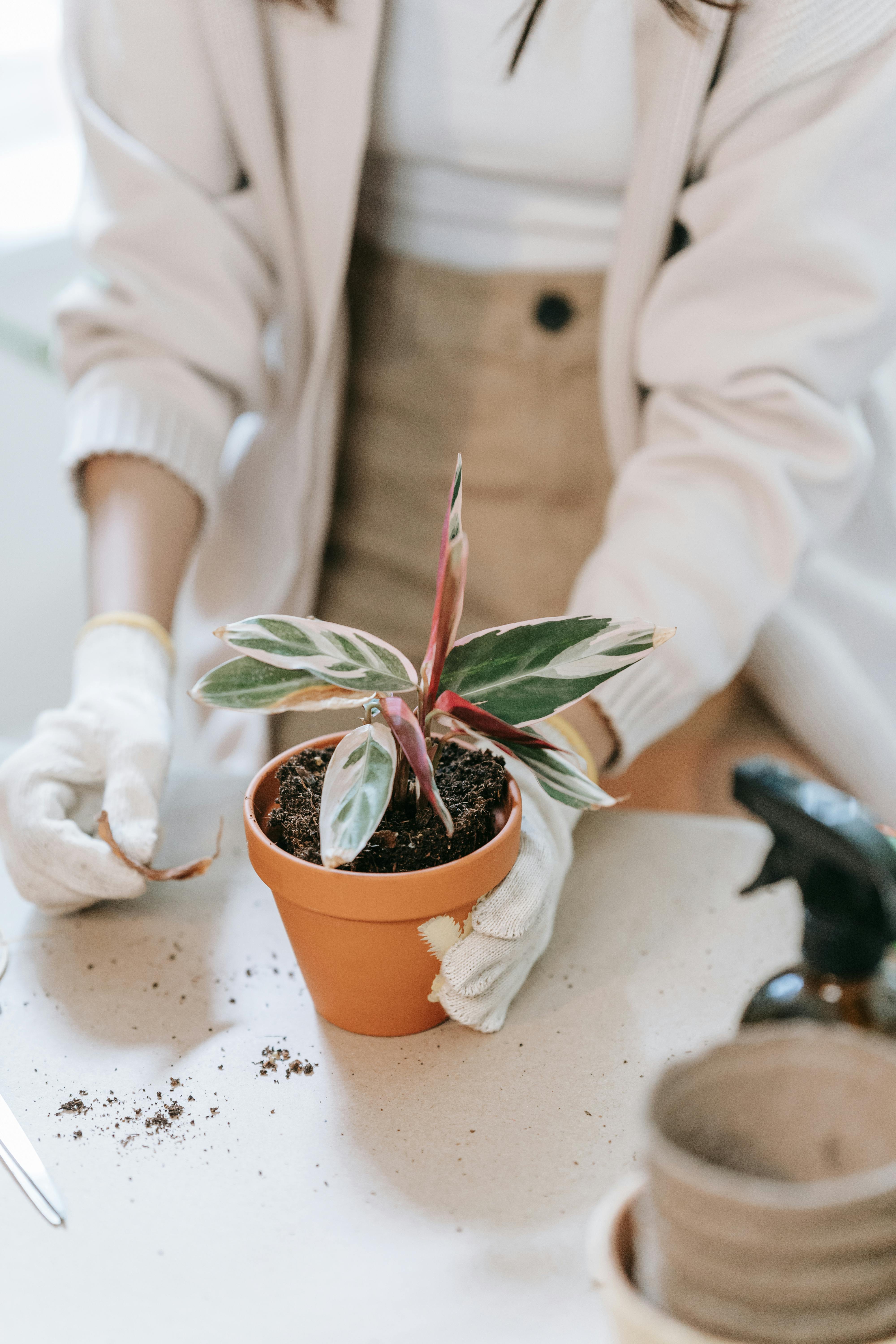 Effective Ways to Express Gratitude: Smart Tips for 2025