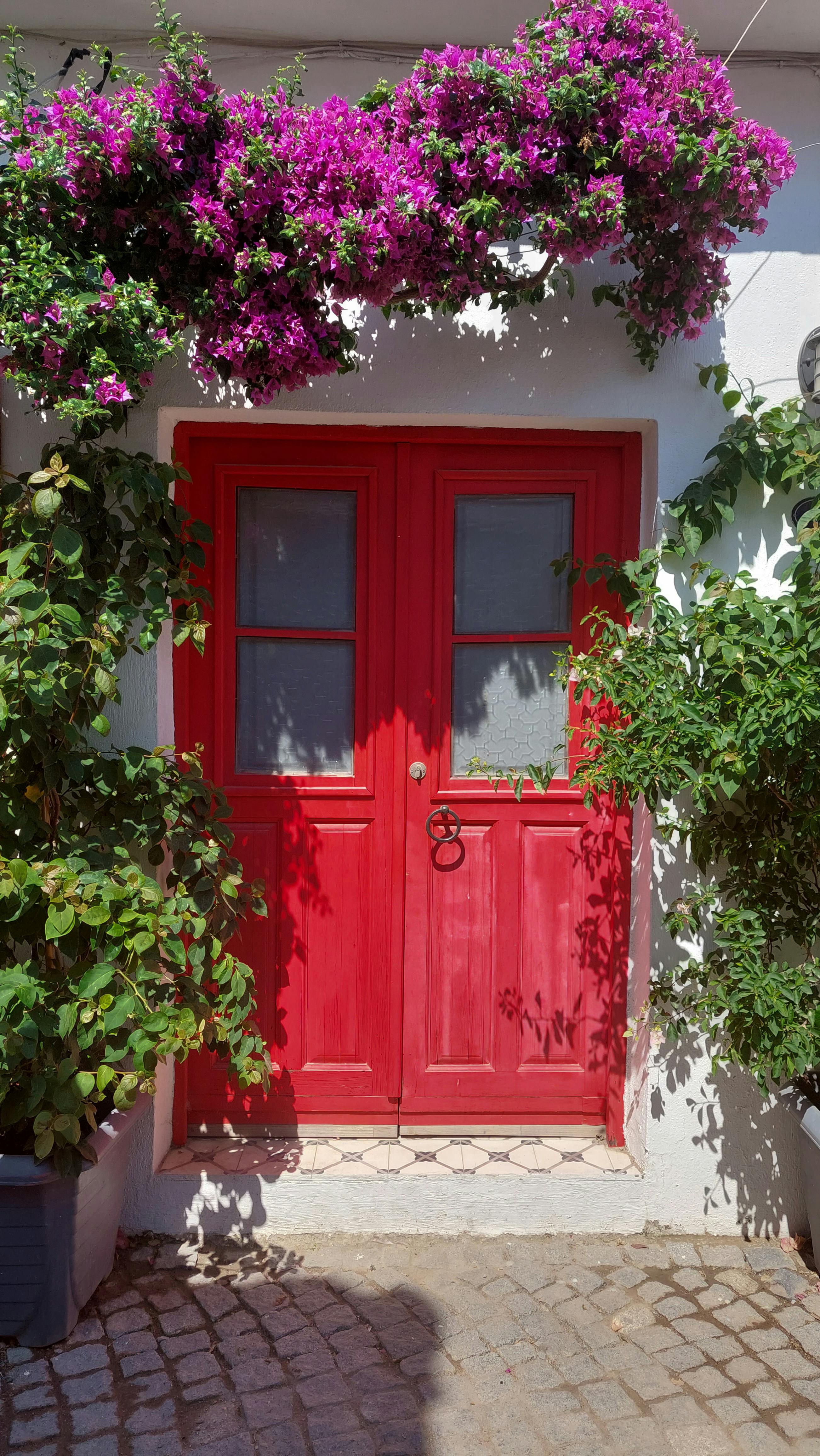 Examples of front door colors