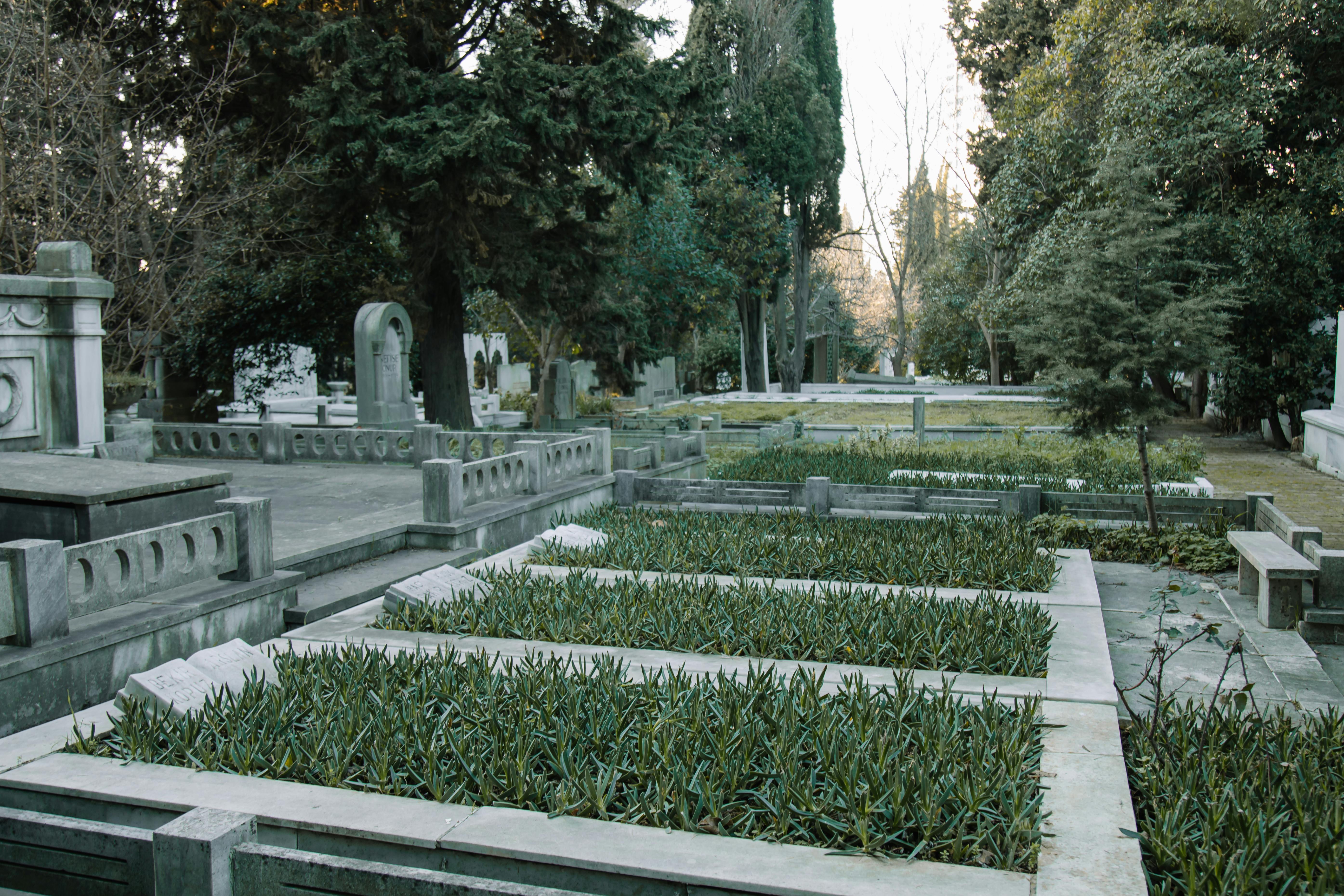 Finding a Grave in a Cemetery