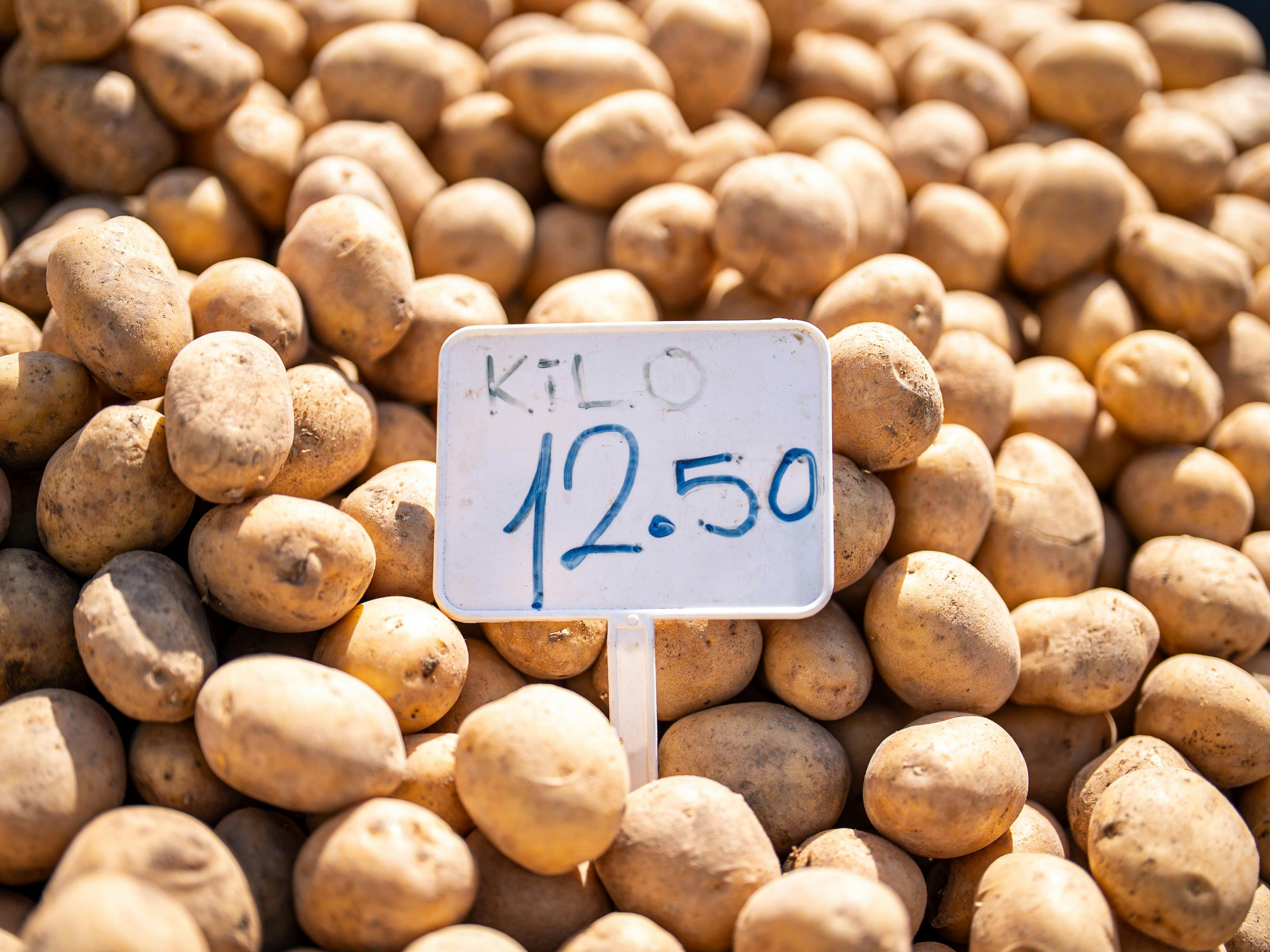 Potato planting techniques